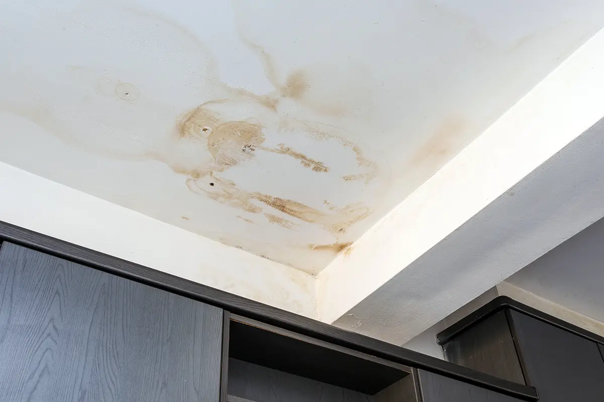 Brown water stains on a ceiling.